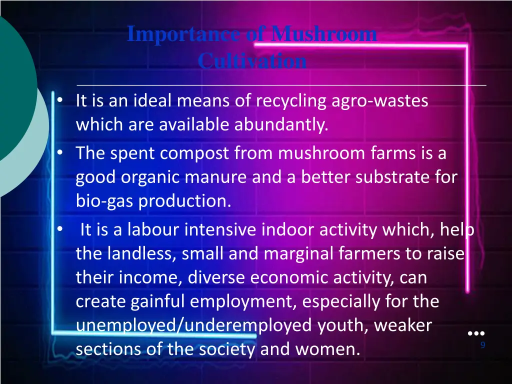 importance of mushroom cultivation 3