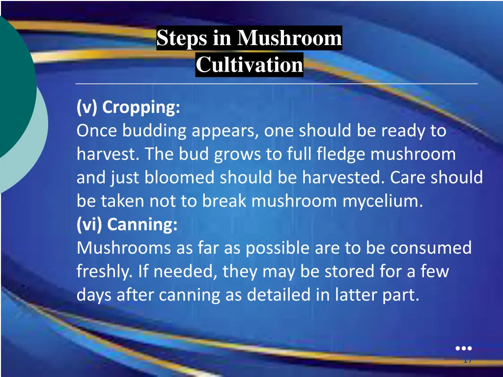 steps in mushroom cultivation 2