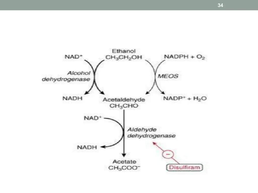 slide34