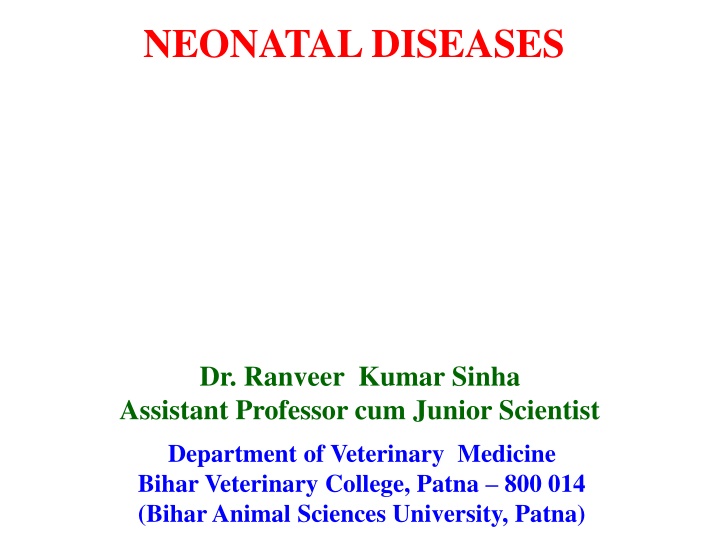 neonatal diseases
