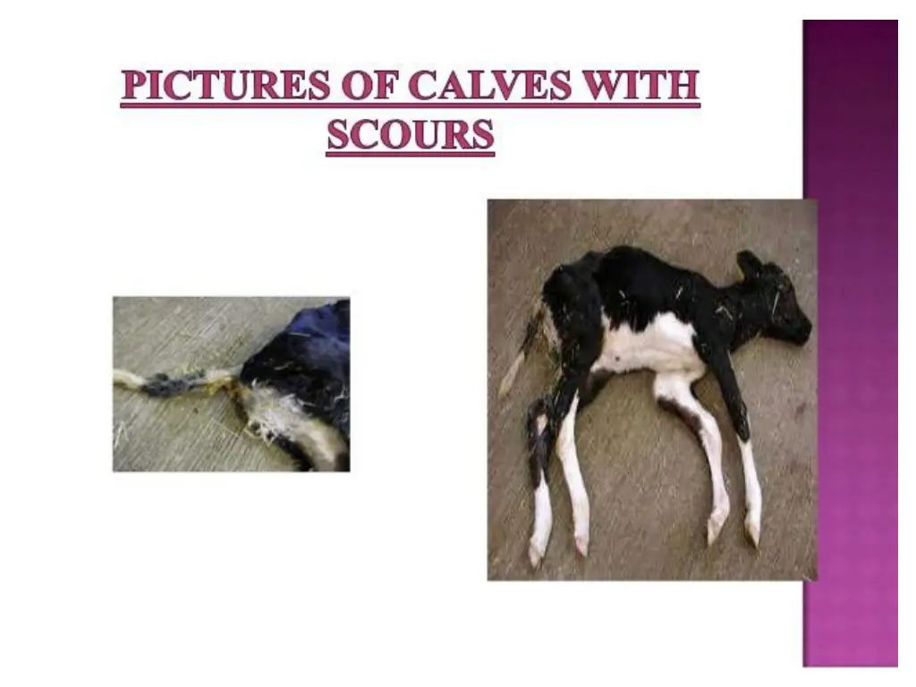 slide10