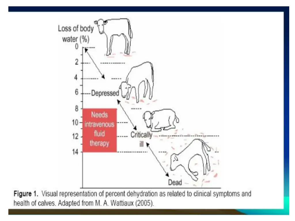 slide12