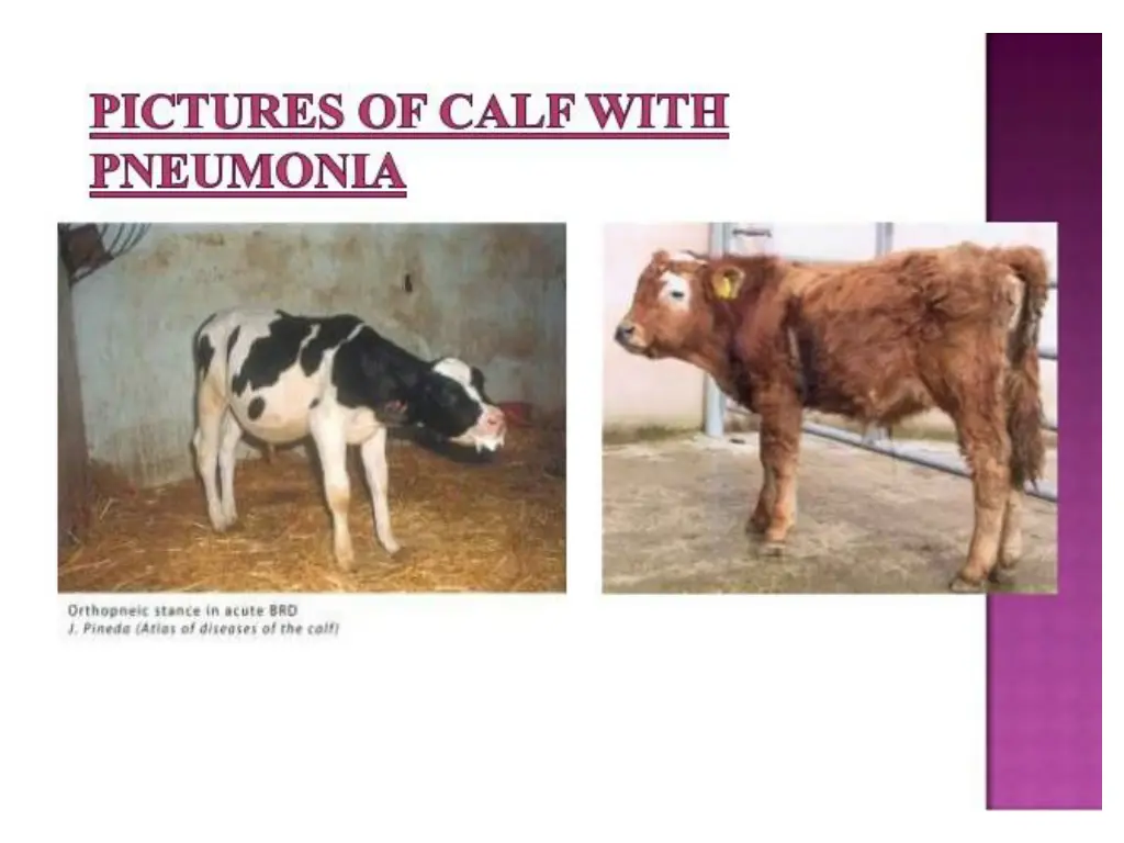 slide21