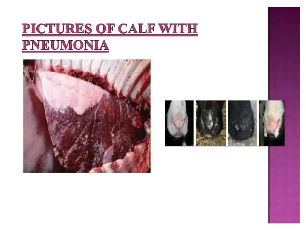 slide22