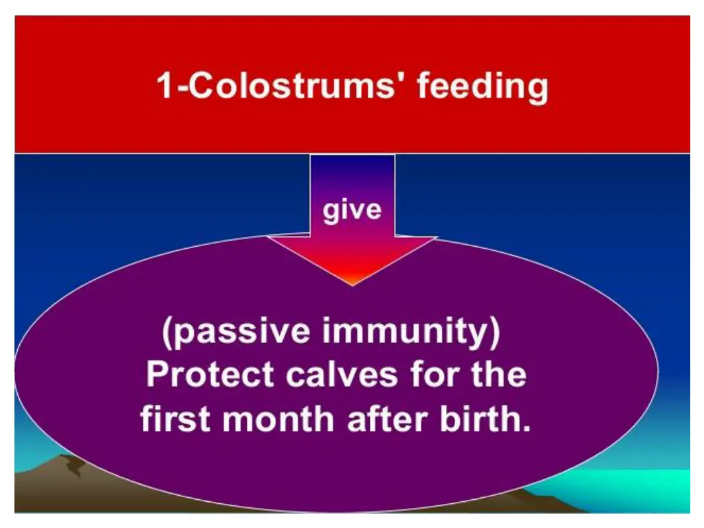 slide5