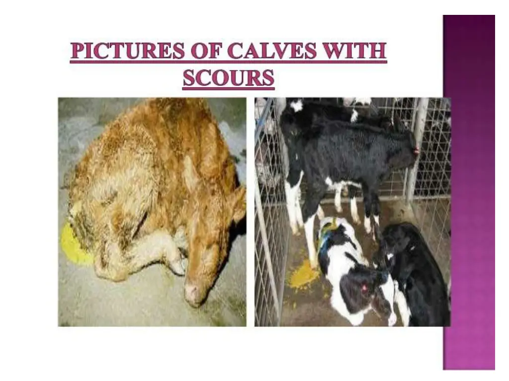 slide9