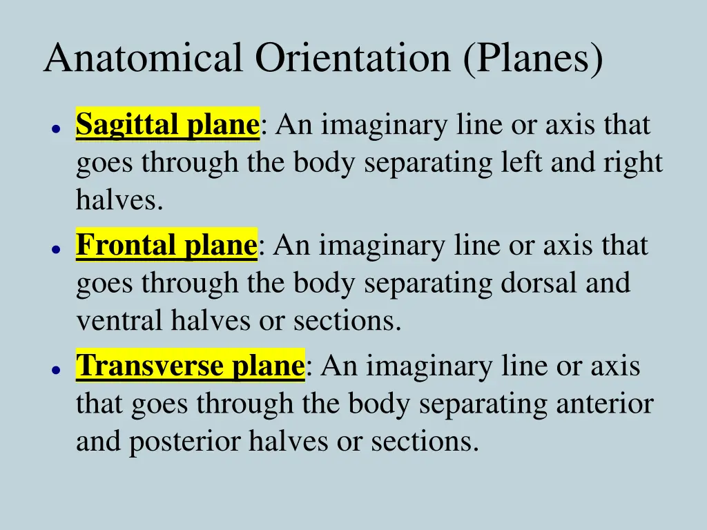anatomical orientation planes