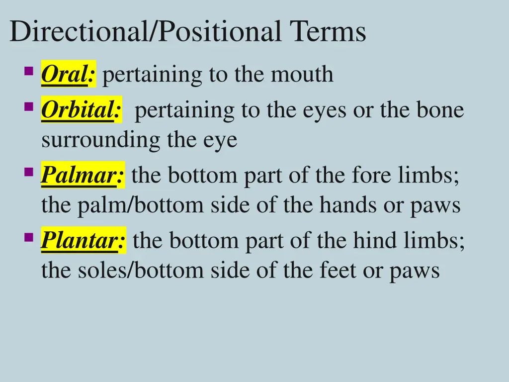directional positional terms oral pertaining