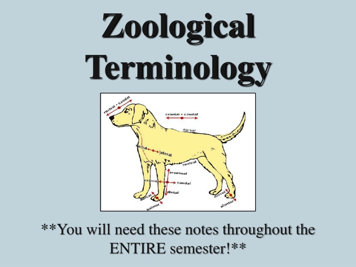 zoological terminology