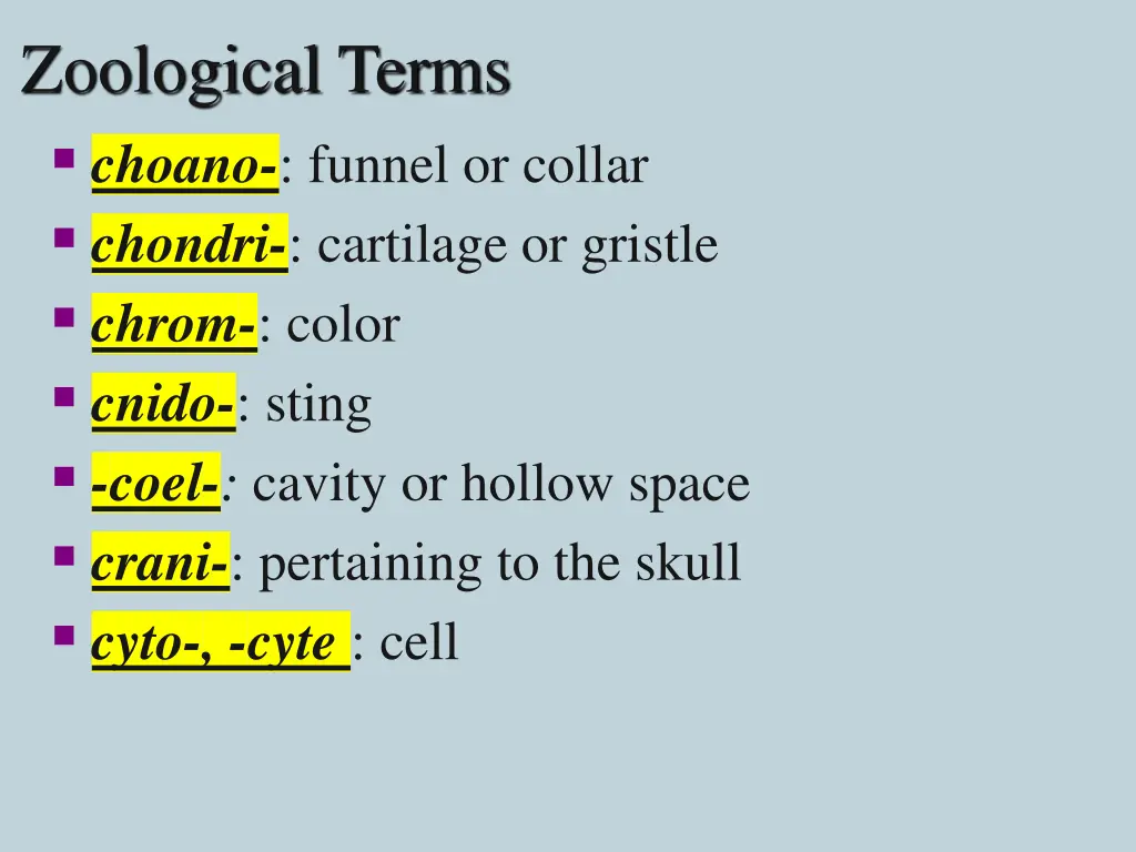zoological terms choano funnel or collar chondri