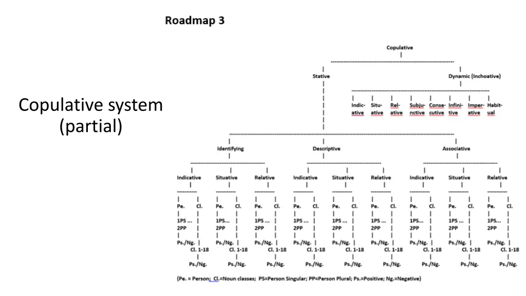copulative system partial
