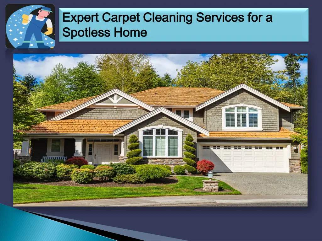 expert carpet cleaning services for a expert 2