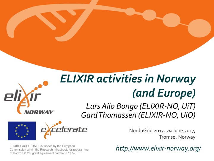 elixir activities in norway
