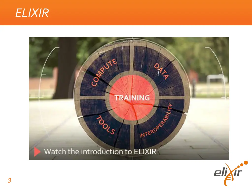 elixir