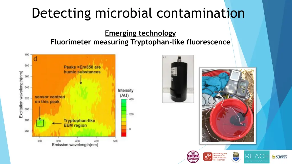 detecting microbial contamination