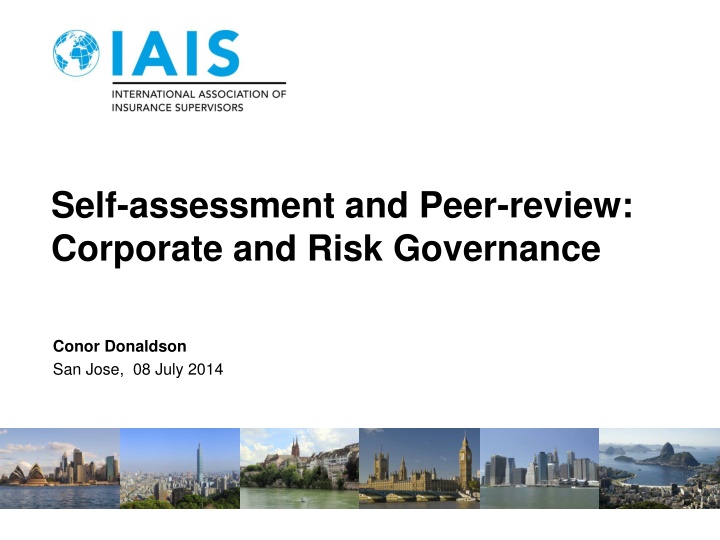 self assessment and peer review corporate