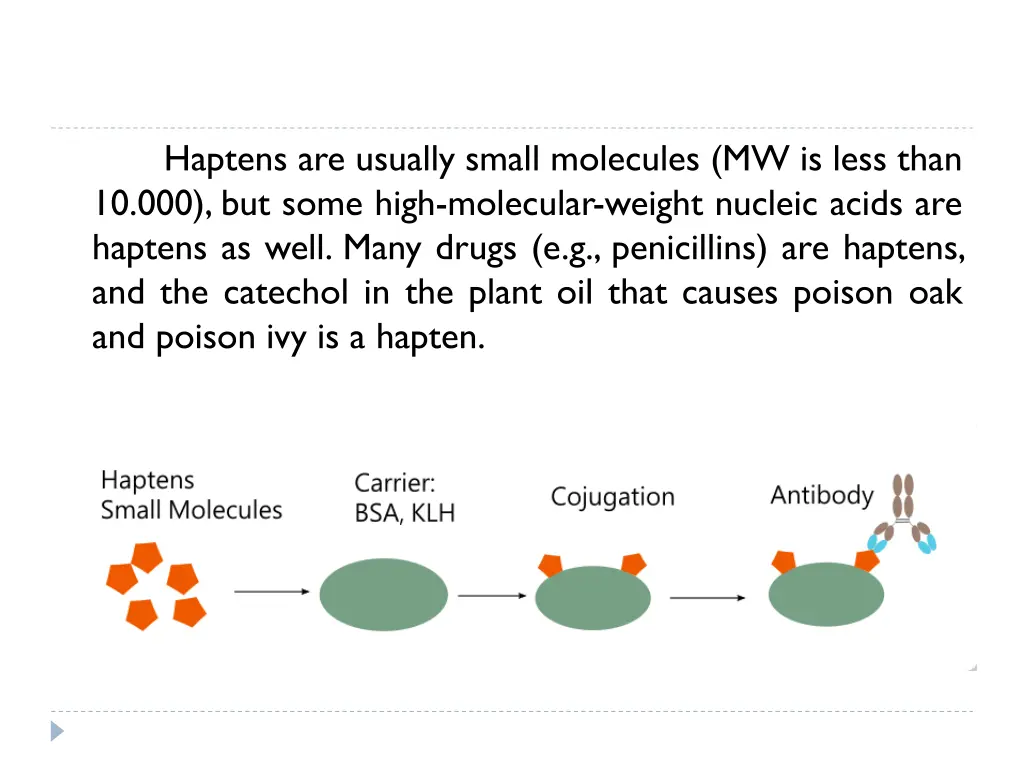 haptens are usually small molecules mw is less