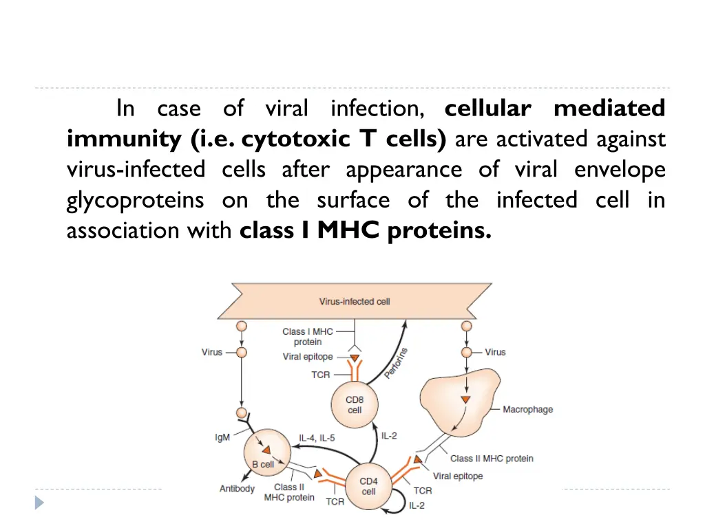 in case of viral infection cellular mediated