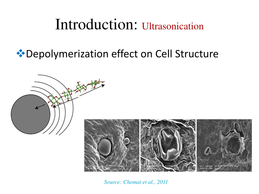 introduction ultrasonication 1