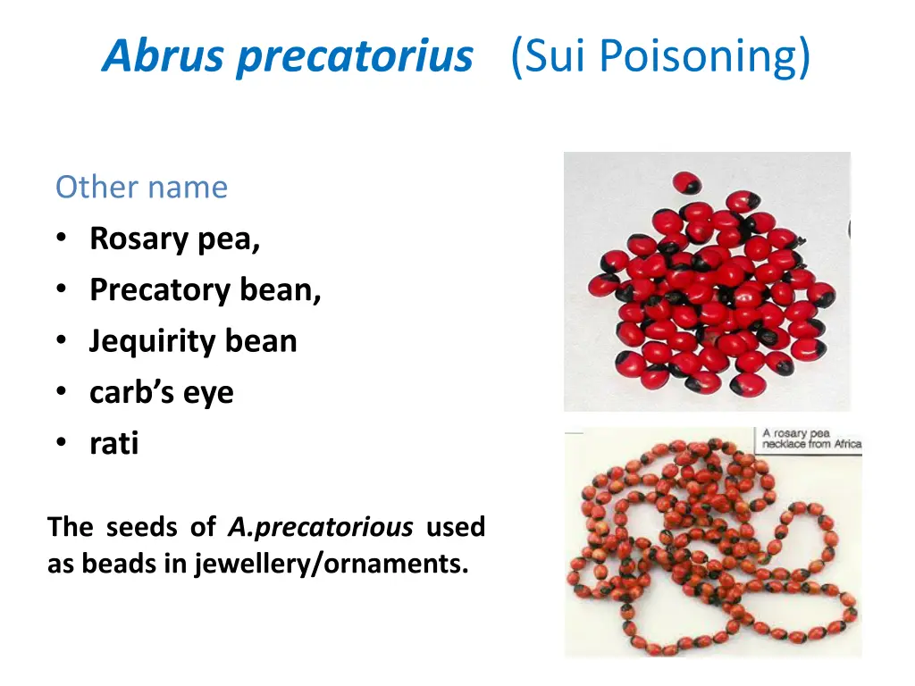 abrus precatorius sui poisoning