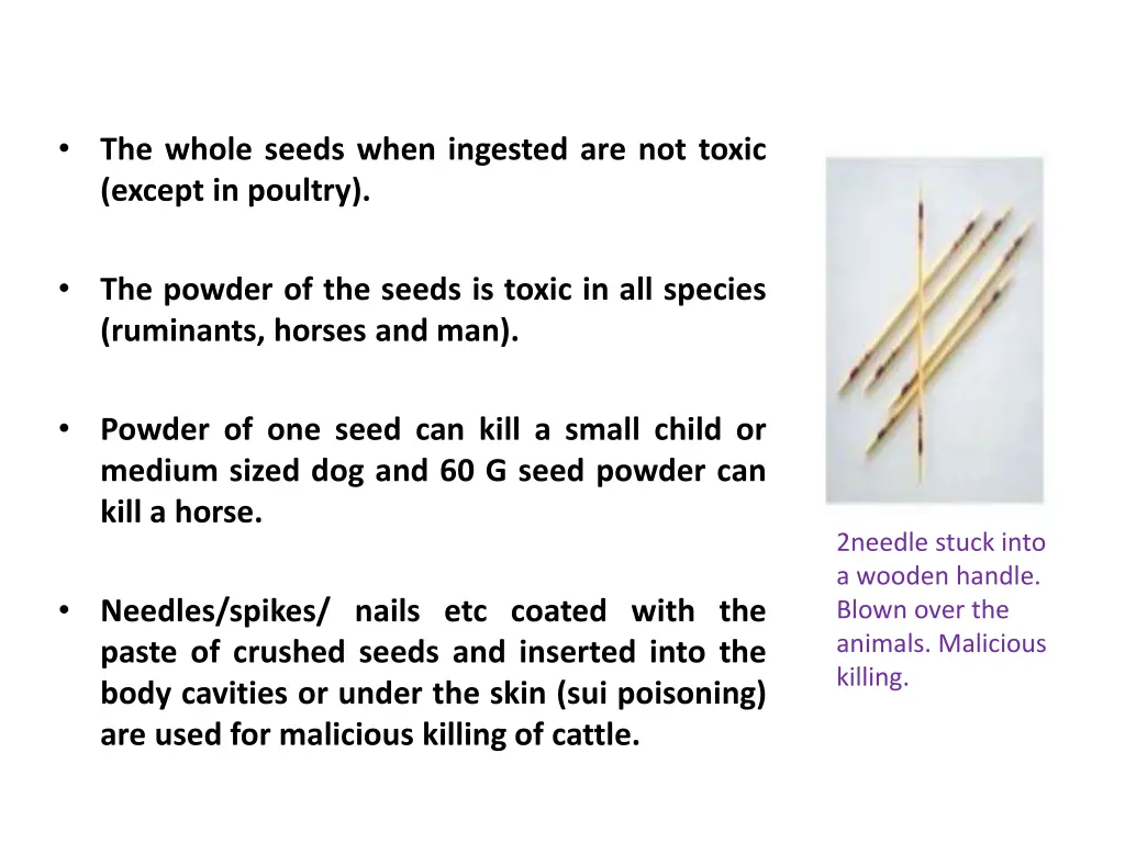 the whole seeds when ingested are not toxic