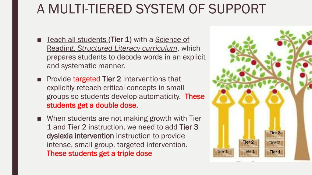 a multi tiered system of support
