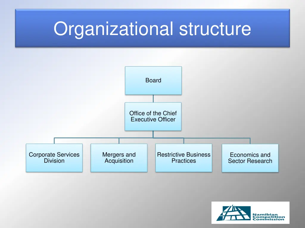 organizational structure