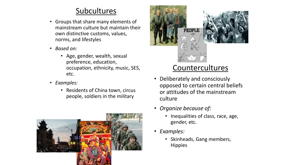 subcultures