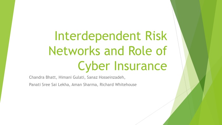 interdependent risk networks and role of cyber