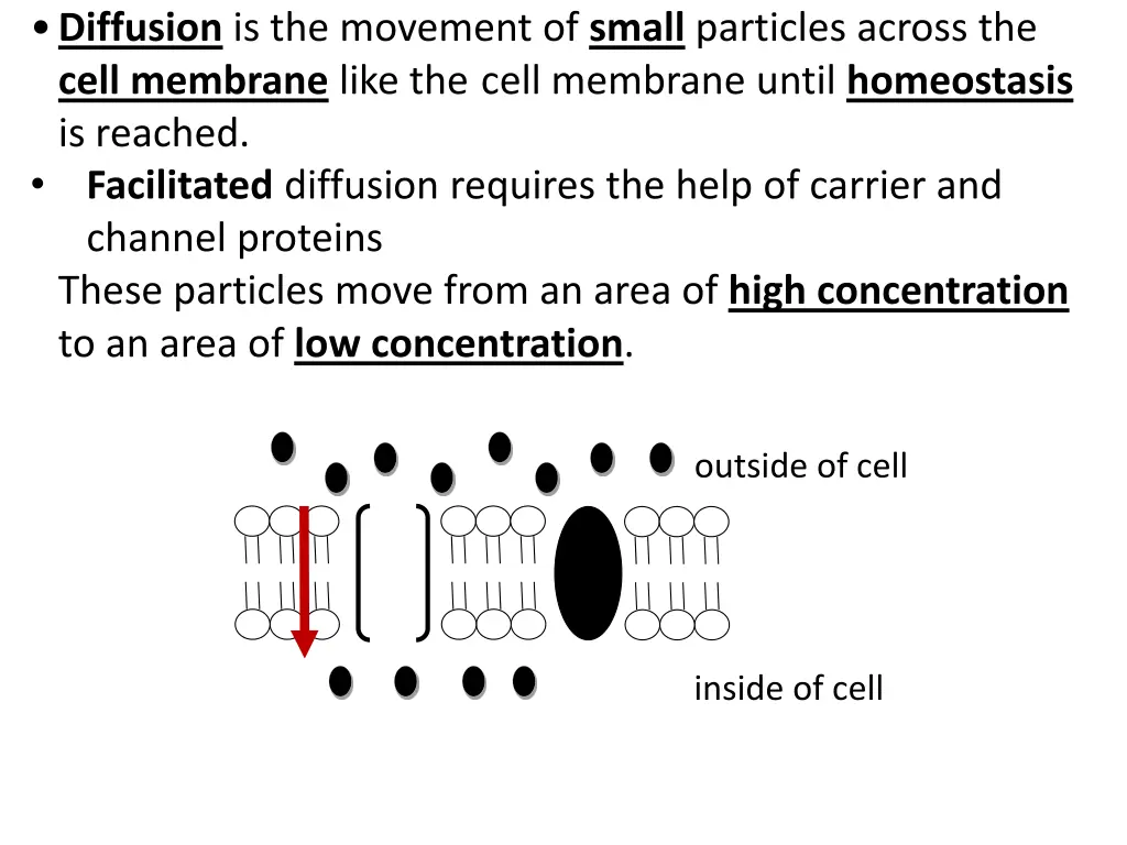 diffusion is the movement of small particles