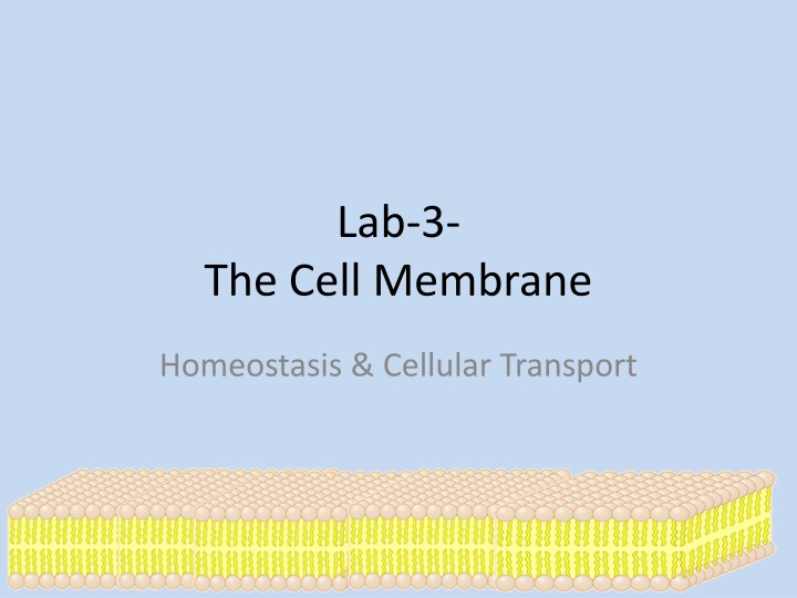 lab 3