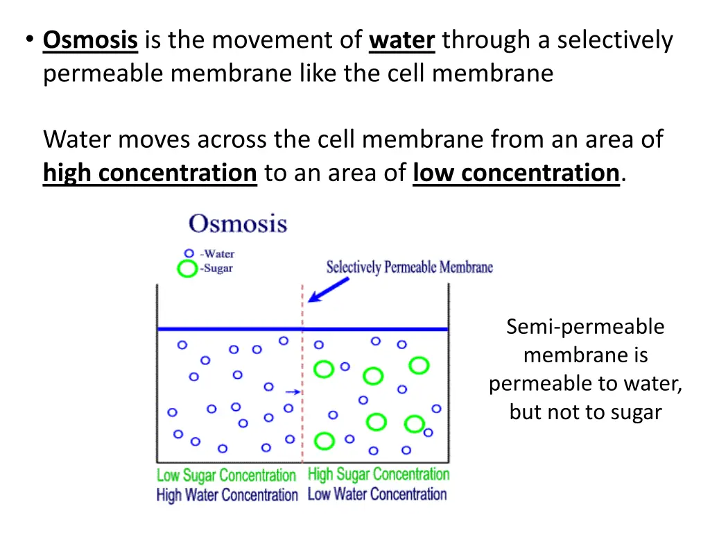 osmosis is the movement of water through