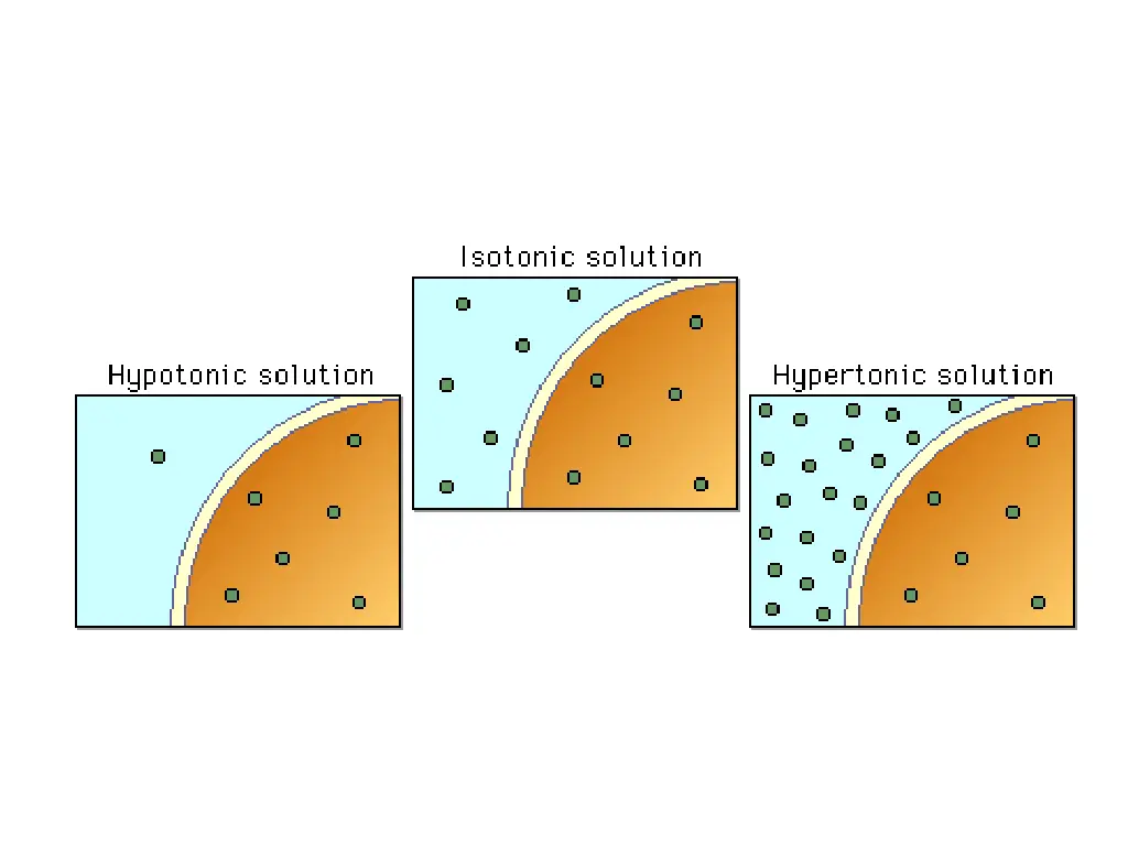 slide16