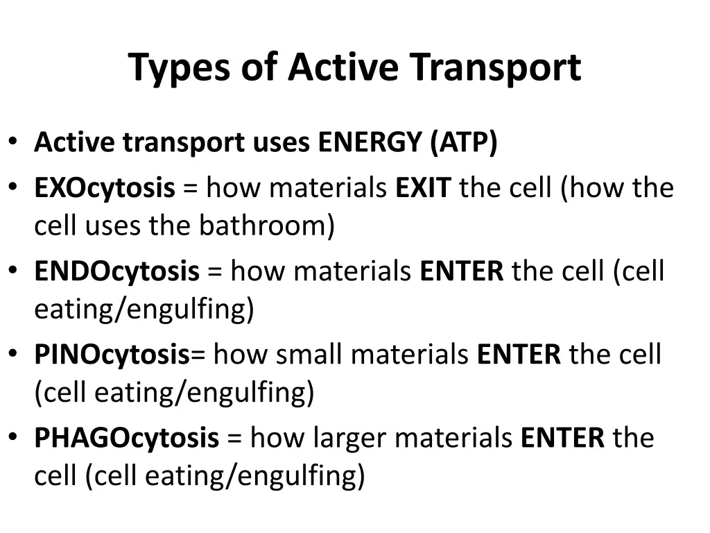 types of active transport