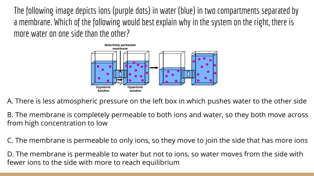 the following image depicts ions purple dots