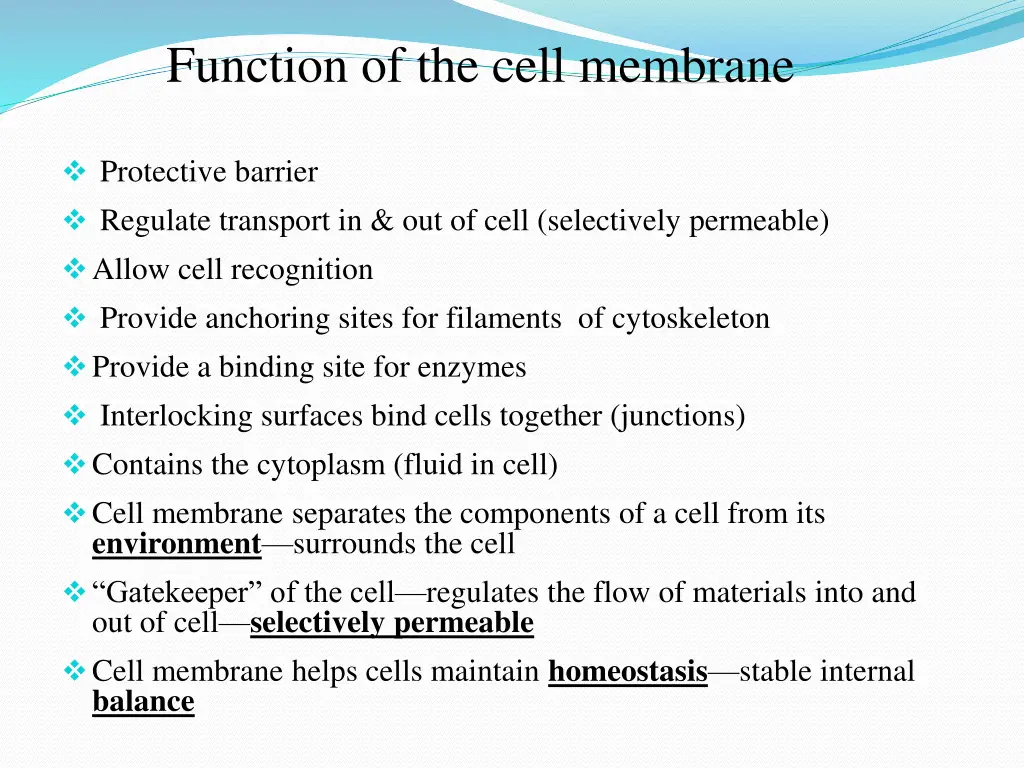 function of the cell membrane