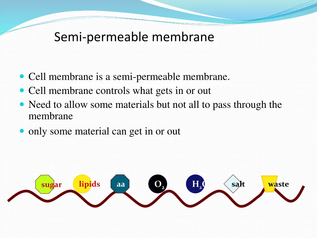 semi permeable membrane