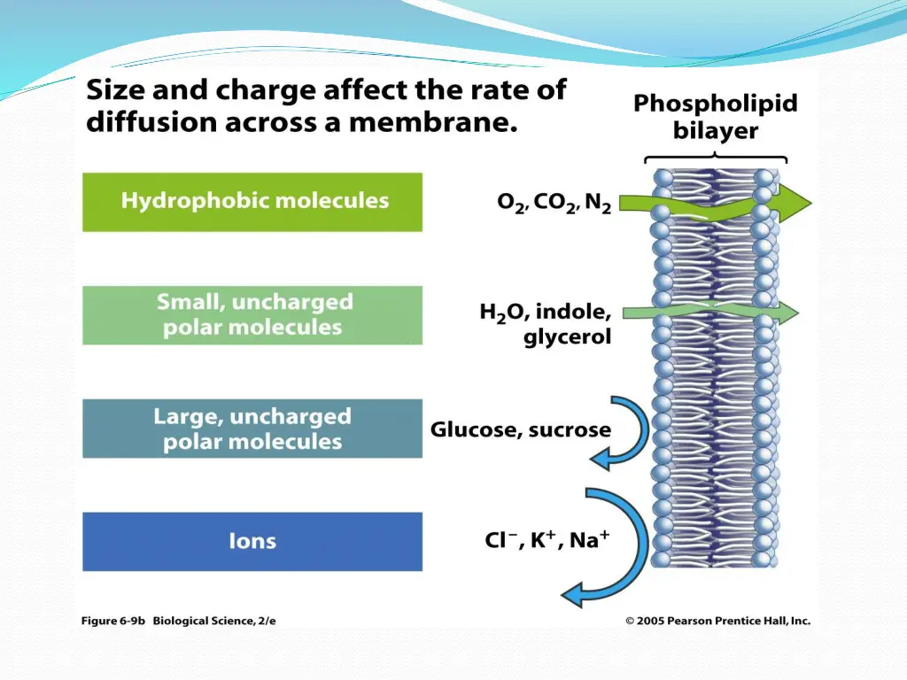 slide14