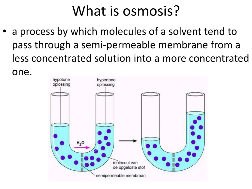 what is osmosis