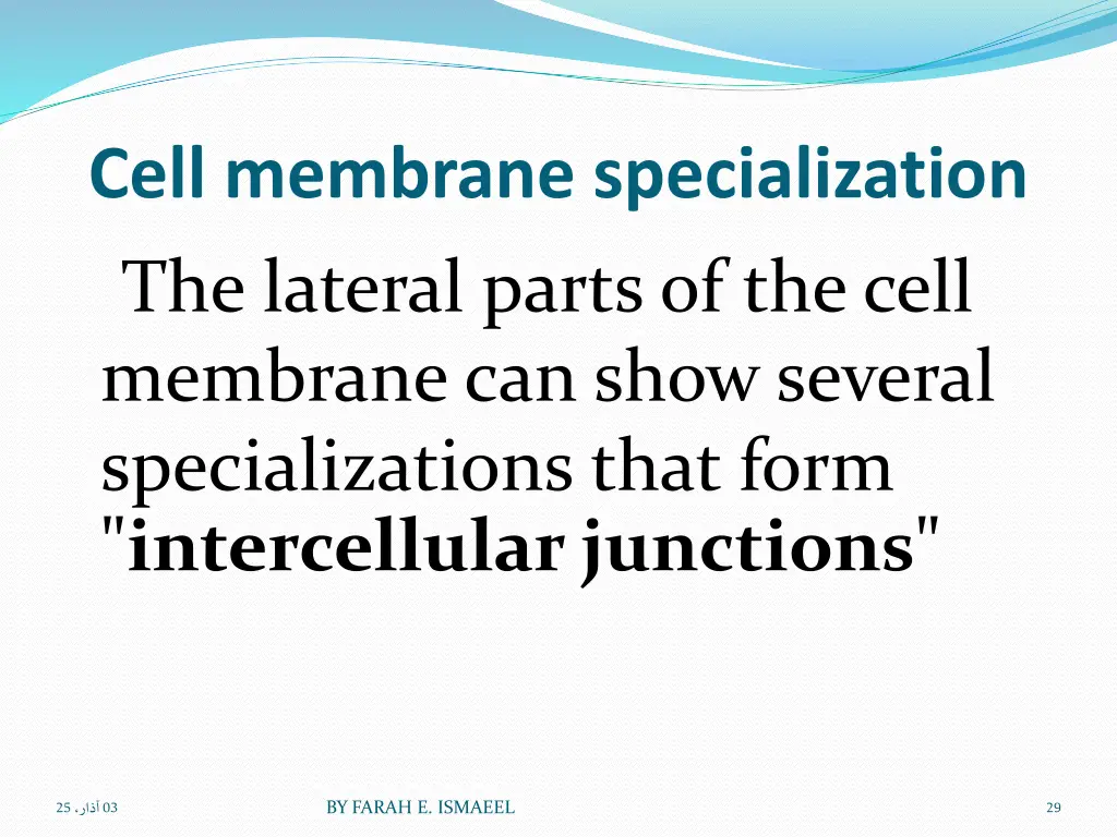 cell membrane specialization