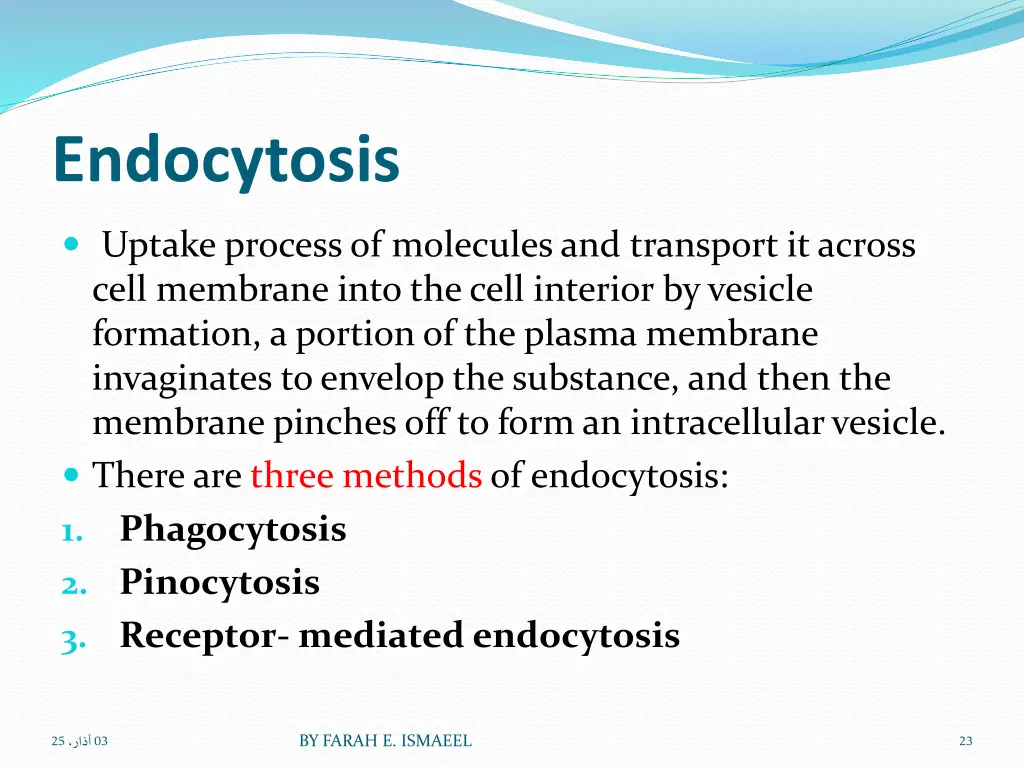 endocytosis