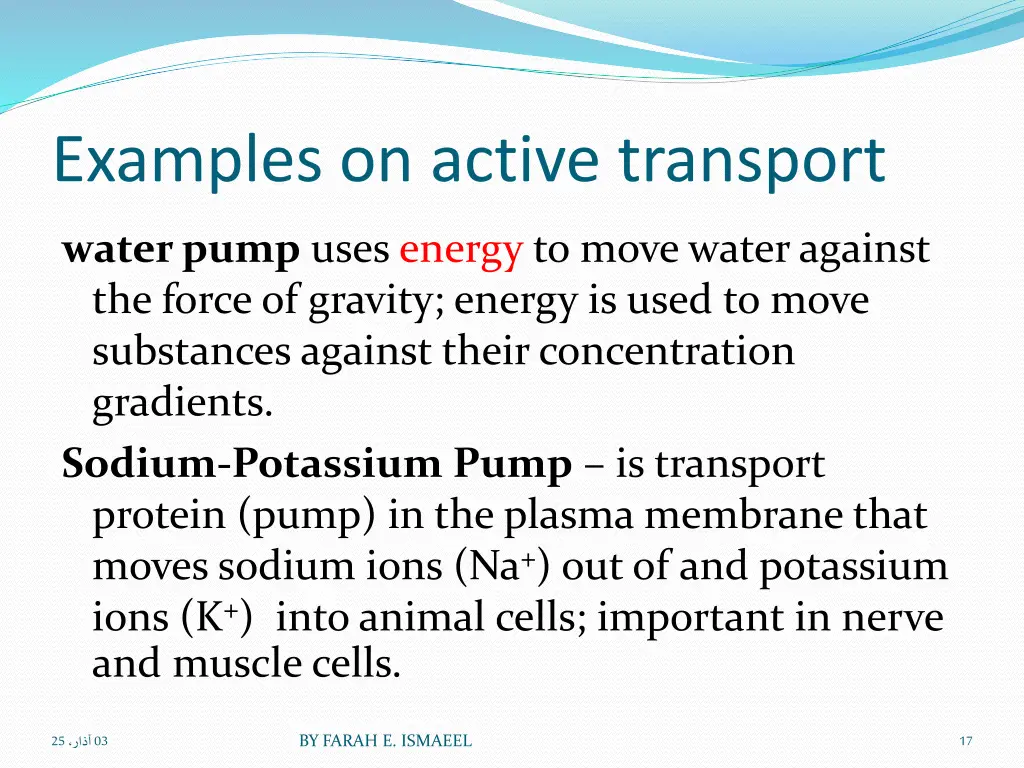 examples on active transport