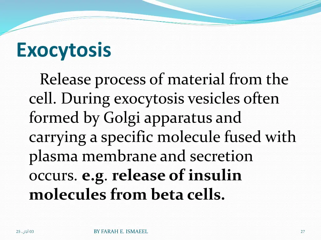 exocytosis