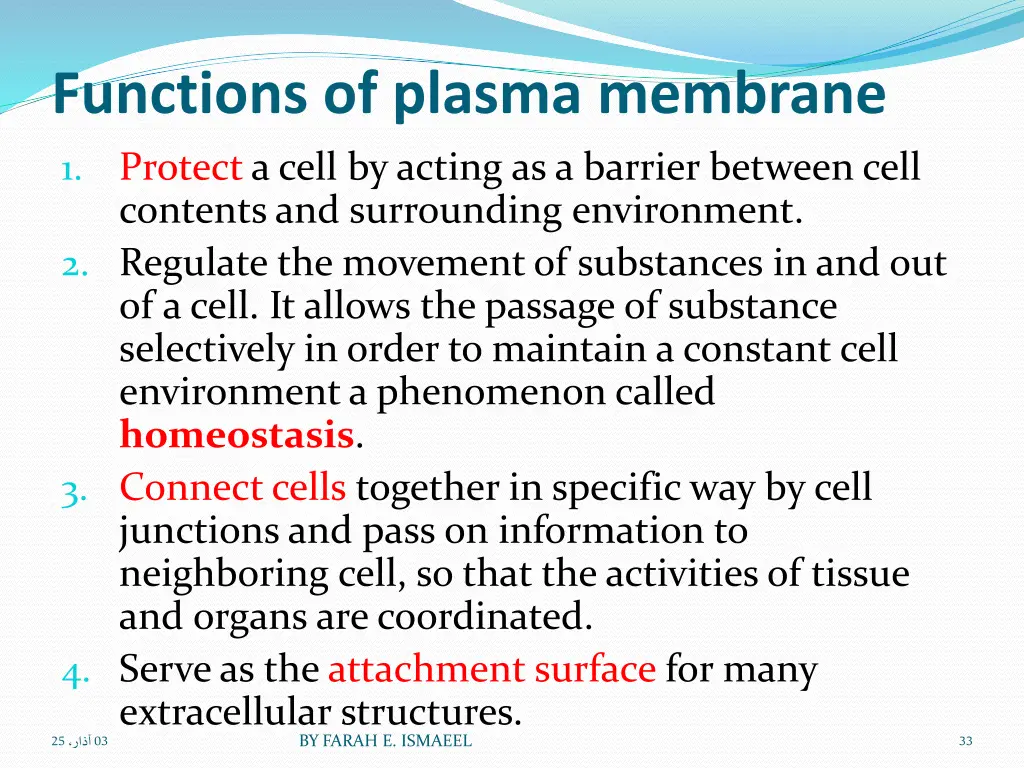 functions of plasma membrane