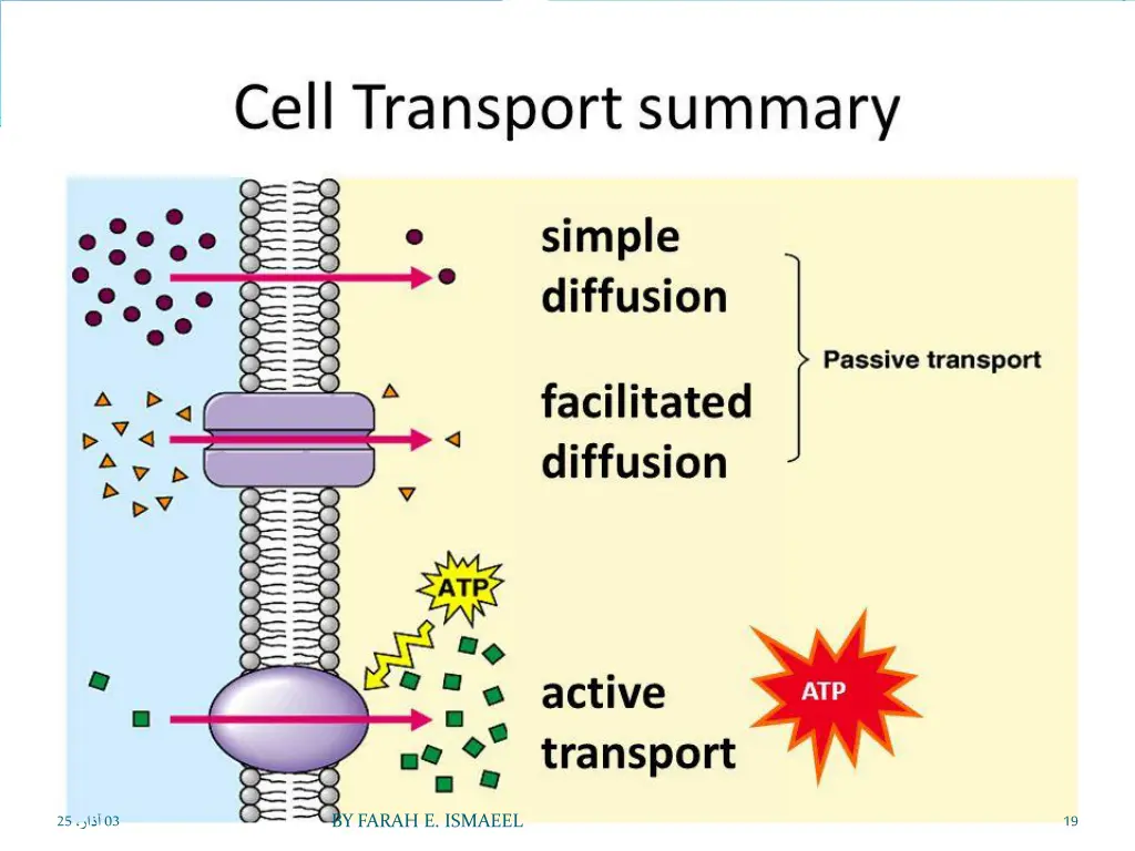slide19
