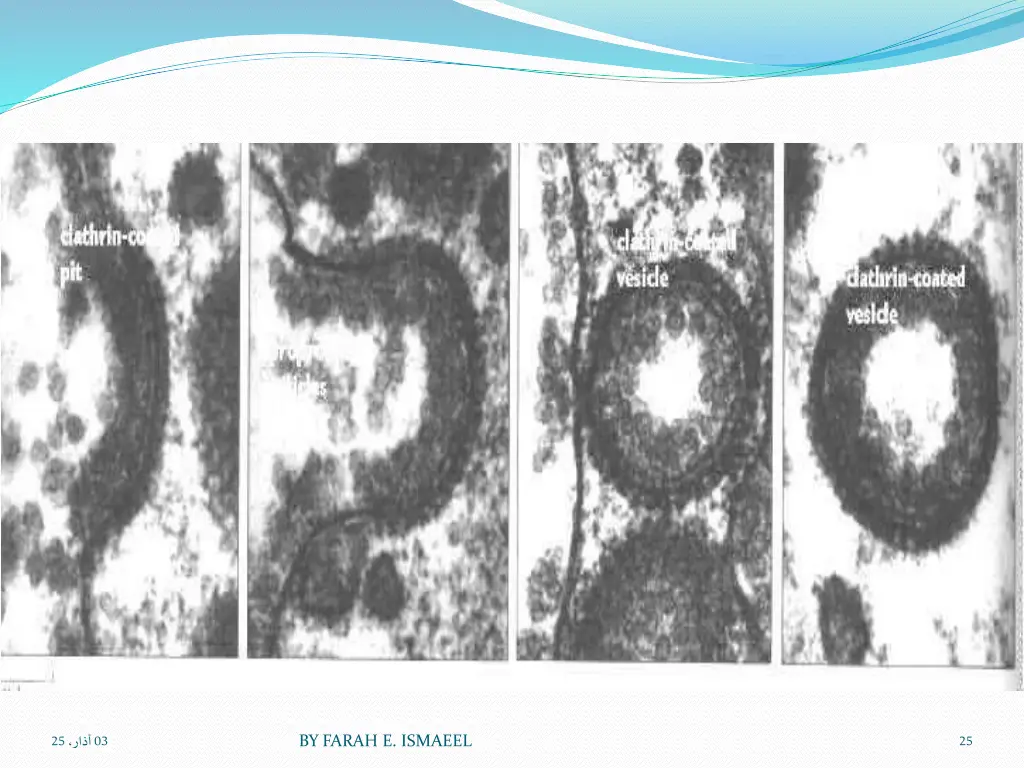 slide25