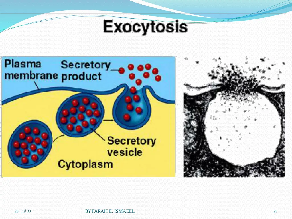 slide28