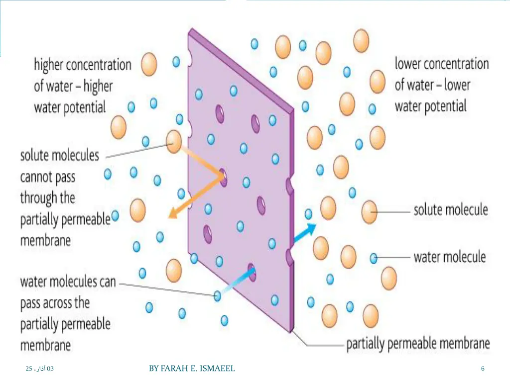 slide6