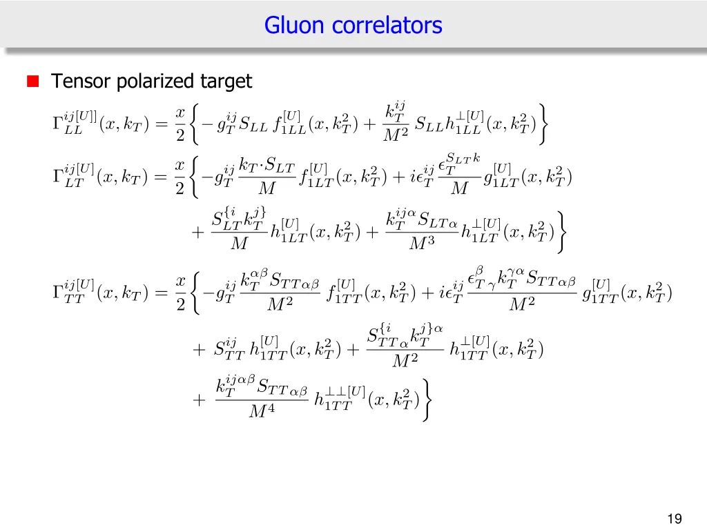 gluon correlators 1