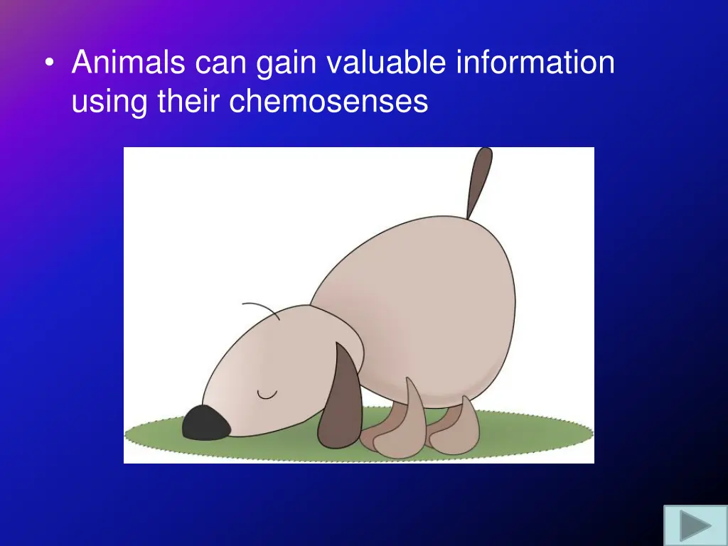 animals can gain valuable information using their